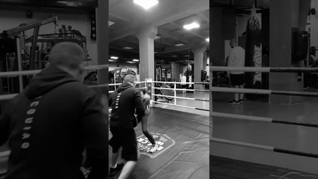 Бокс Девушки тренировки Минск. Павел Солтан смотреть онлайн