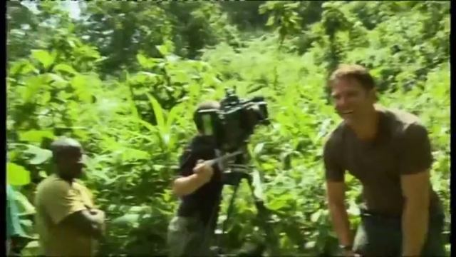 Farting gorillas-gorillas in the wind. смотреть онлайн