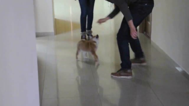 DSC 0003 смотреть онлайн