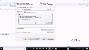 How to Connect SQL Server with DBeaver
