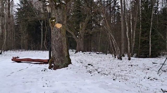 По местам жизни Якуба Коласа: Альбуть, Акинчицы, Ласток, Смольня, музей Якуба Коласа смотреть онлайн