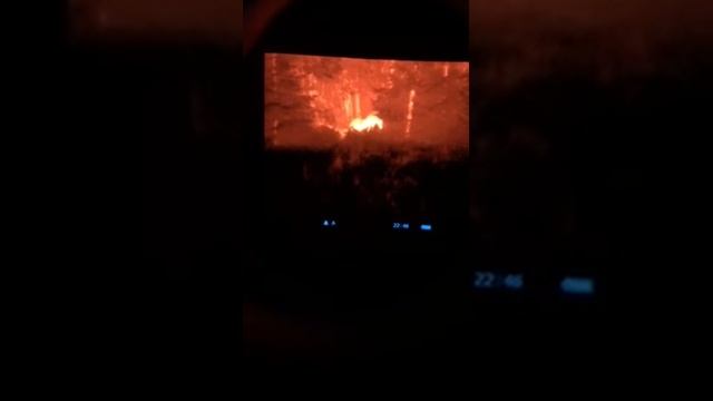 Termovizorius pulsar quantum xd 38 s смотреть онлайн