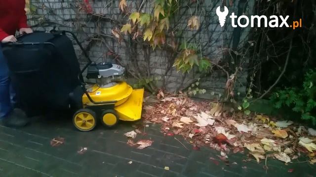 Odkurzacz spalinowy AL-KO wypożyczalnia Rentmax смотреть онлайн