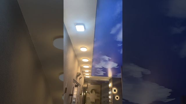 Cool LED Journey! Explore Our LED Light Showroom and Experience the Beauty of Lighting смотреть онлайн