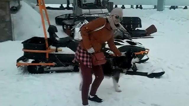 Я Домбай и лайка смотреть онлайн