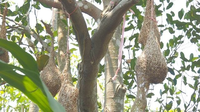 กล้อง Mirrorless-Olympus OM-D E-M5 Mark II-M.ZUIKO DIGITAL-ED 12-50mm-Video Review 3