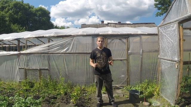 ТЕПЛИЧНЫЙ БИЗНЕС С НУЛЯ!! ЧТО Я ПОСАДИЛ В ТЕПЛИЦУ ЛЕТОМ??? смотреть онлайн