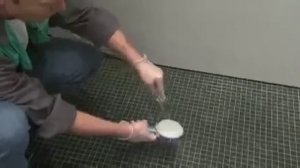 Удаление накипи c душевой лейки Hansgrohe