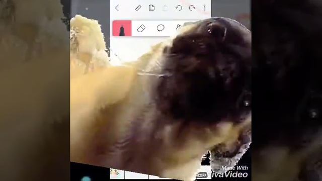 Рисую в Флипа клип смотреть онлайн