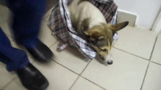 Малашка-отравление. смотреть онлайн