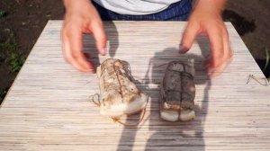 Как коптить грудинку,сало. Грудинка варено копченная.