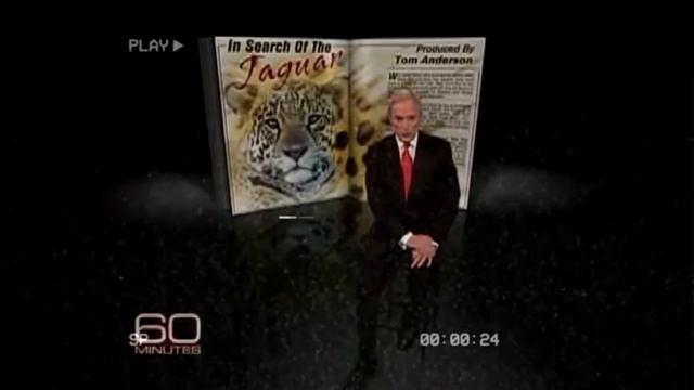 bill hader celebrity impressions (with references) смотреть онлайн