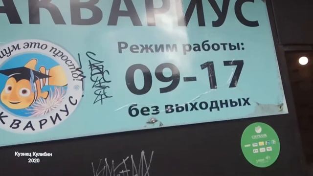 Новые ворота с большой дверью в магазин "Аквариус" Кузнец Кулибин. смотреть онлайн