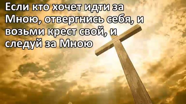 Свидетельство о покаянии адвоката смотреть онлайн