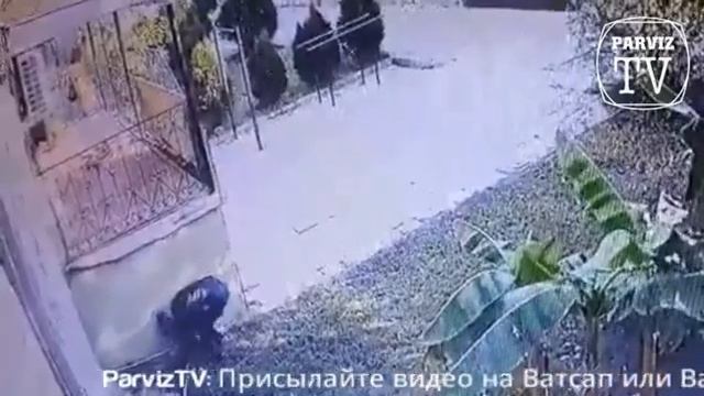 В Душанбе вор попал на камеру смотреть онлайн