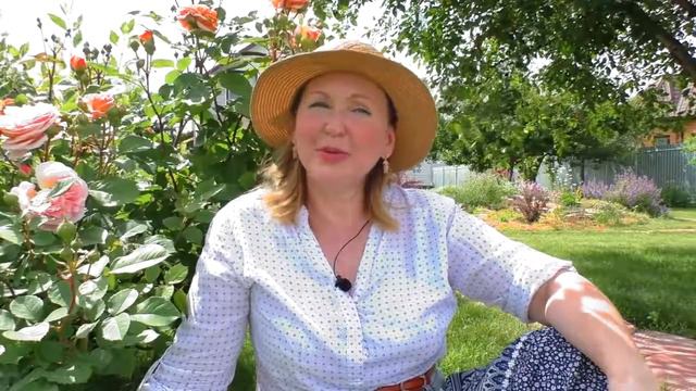 Как вырастить крупную клубнику землянику. смотреть онлайн
