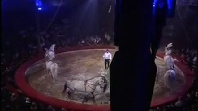 X° International Circus Festival City of Latina - Flavio Togni Parte 2 смотреть онлайн