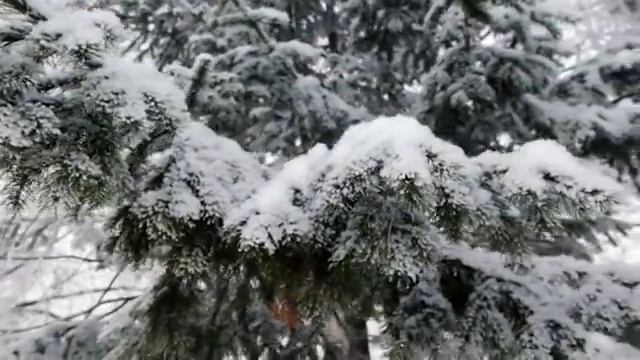 скоро новый год? смотреть онлайн