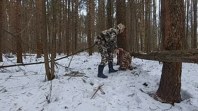 Зимняя прогулка по лесу | Щепница | Поход выходного дня | Поход соло смотреть онлайн