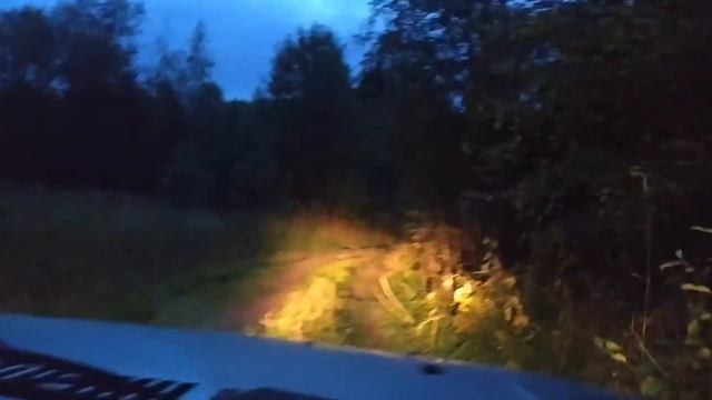 нива 2131 бездорожье , моя первая поездка в лес смотреть онлайн