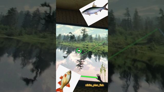 Рыбалка на затерянном озере!|🐠| My Fishing World смотреть онлайн