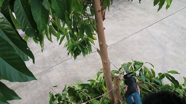 เลื่อยอเนกประสงค์ l BOSCH GSA120 Professional