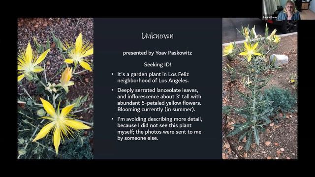 October 2020 - Plant Forum смотреть онлайн