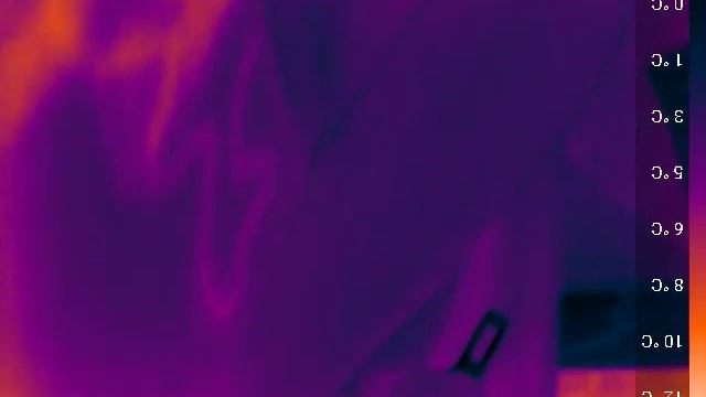 Обследование тепловизором работы двух печек Honda Stepwgn Rp5 G-ex 2018