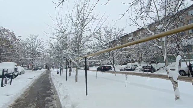 Зимняя прогулка.Шымкент.24.02.24.#рекомендации #шымкент #life #vlog #shymkent #recommended