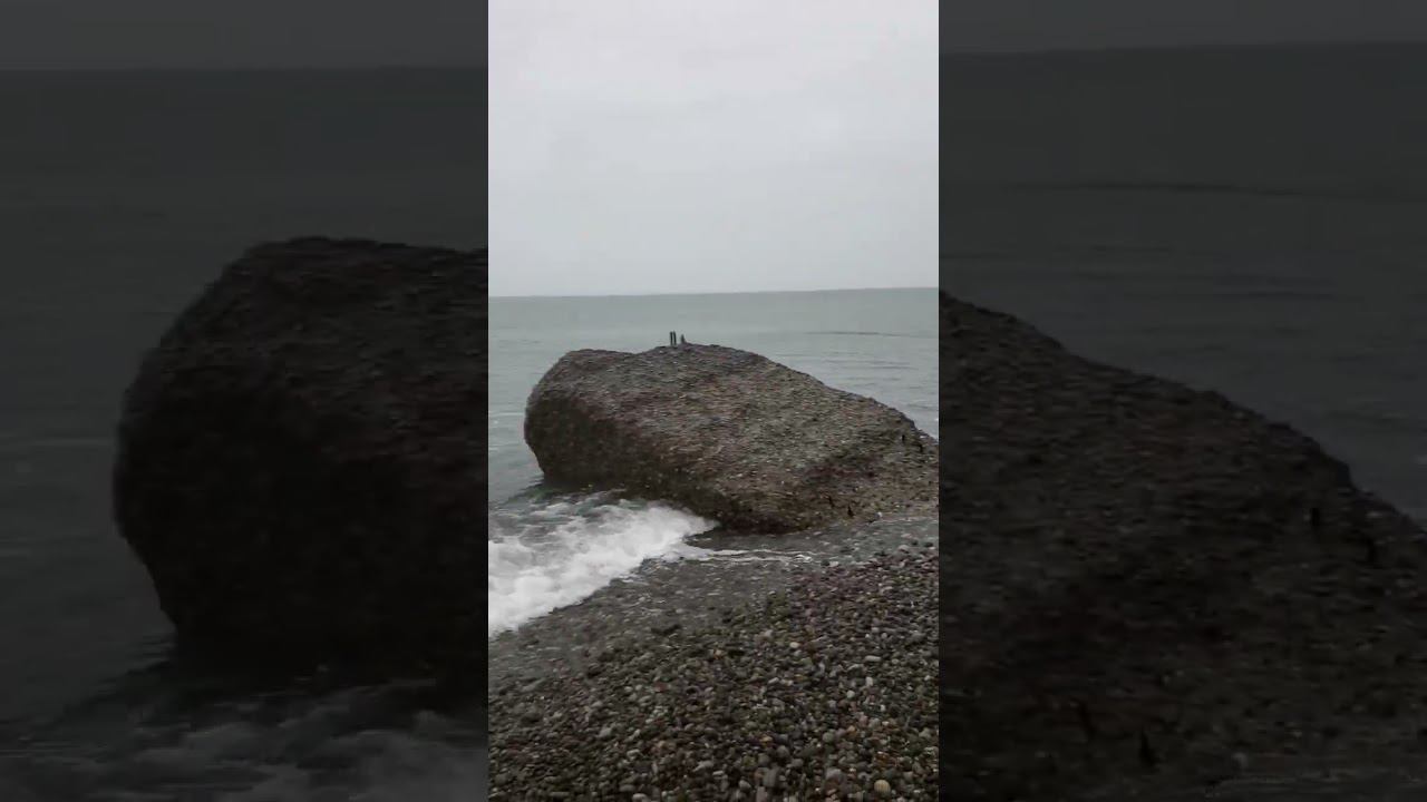 13.03.23 г.Погода Лазаревское #shorts #погодавсочтюи #дождь #лазаревскоесегодня #сочи #лазаревское смотреть онлайн