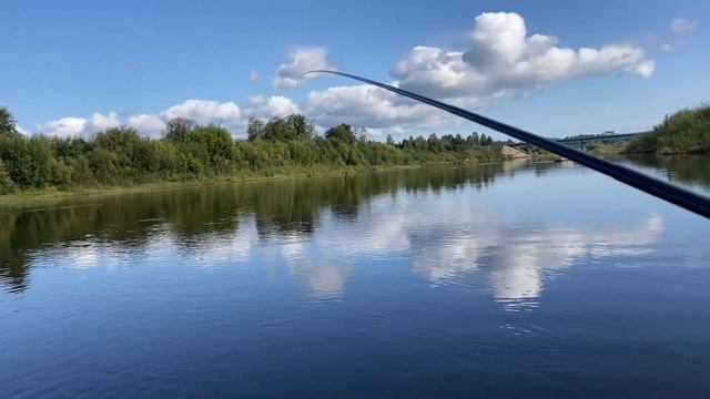 НЕСПЕШНАЯ РЫБАЛКА РЫБА ЕЛЕЦ КЛЮЁТ ОТЛИЧНО смотреть онлайн