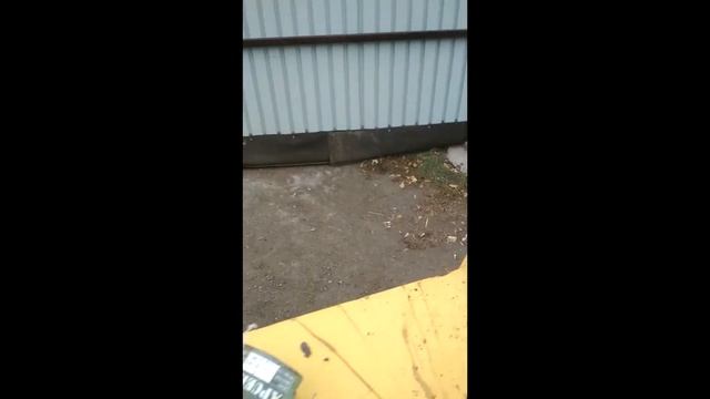 Обзор на кун LEX смотреть онлайн