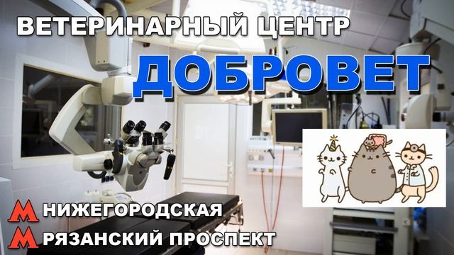 Ветеринарный центр Добровет - Мы помогаем животным смотреть онлайн