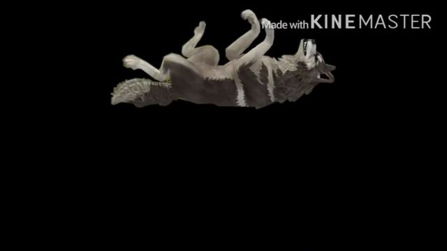 WCMV *почему так больно* смотреть онлайн