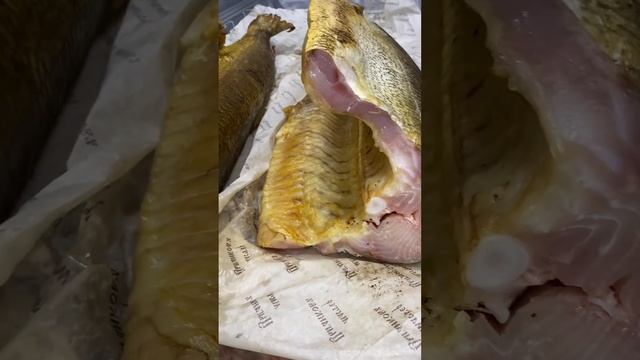 Нельма в готовом виде почти 13кг! #нельма #азбукасевера смотреть онлайн