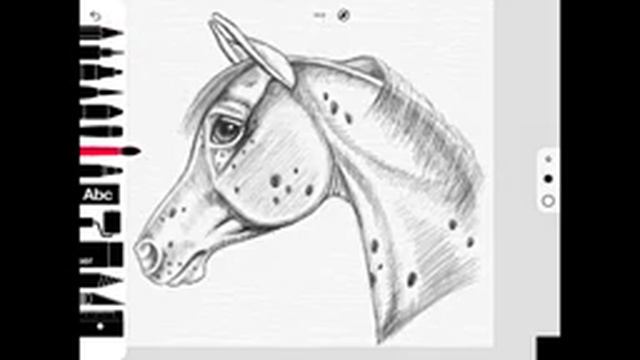 How To Sketch, Shade And Paint An Appaloosa Horse смотреть онлайн