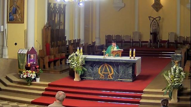 Прямая трансляция пользователя KATEDRA MOSKWA смотреть онлайн