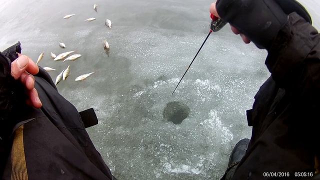 Маралистик не даёт покоя Окуню смотреть онлайн