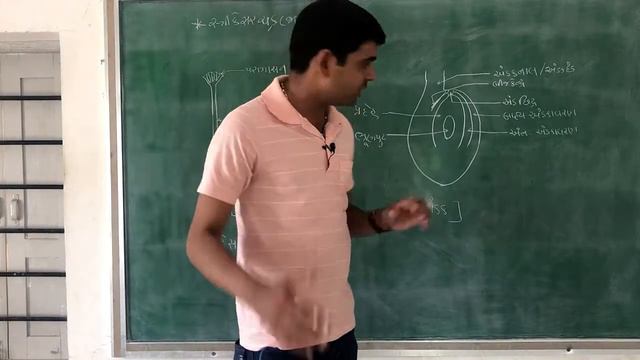 || Lec-15 STD 12 Science || Biology || Strikesar Tatha Mahajanyu Janan || Dr.GardhariyaSir|| смотреть онлайн