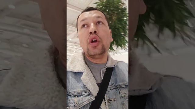 БИЛЕТ. НАРХИ. 100.000. МИНГ смотреть онлайн