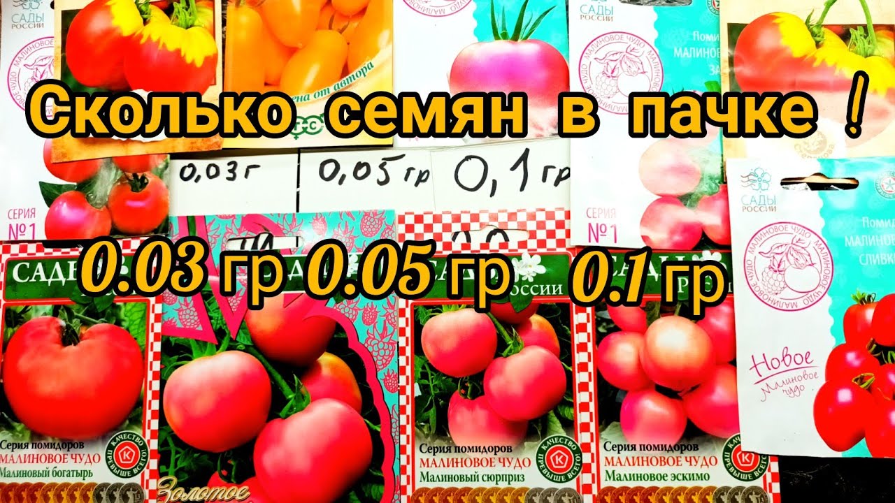 Сколько семян томатов в 0,05 грамм смотреть онлайн