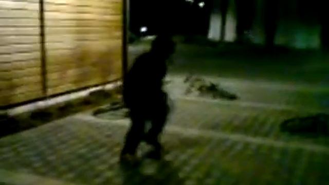 ZpD-crew-hardsytle techno dance смотреть онлайн