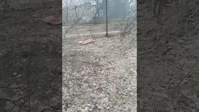 СНТ Монтажник, 34 линия, участок 708 смотреть онлайн
