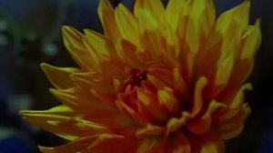 Nurmuhammet Meredow - Klasdaş (Karaoke)