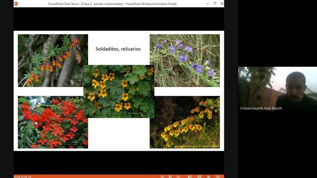 Clase 4 Etnobotánica: Plantas ornamentales chilenas смотреть онлайн