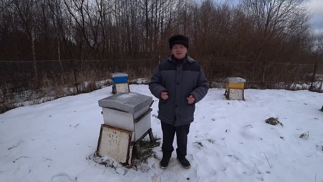 Январь -  проблемный месяц для зимовки пчёл!  На что надо обратить внимание!?