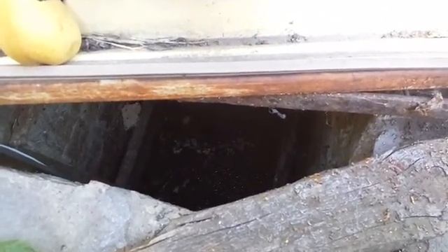 Водограй - биопрепарат для очистки канализации в частном секторе. Результат через 3 месяца смотреть онлайн