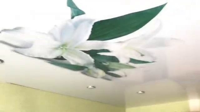 Натяжной потолок с фотопечатью смотреть онлайн
