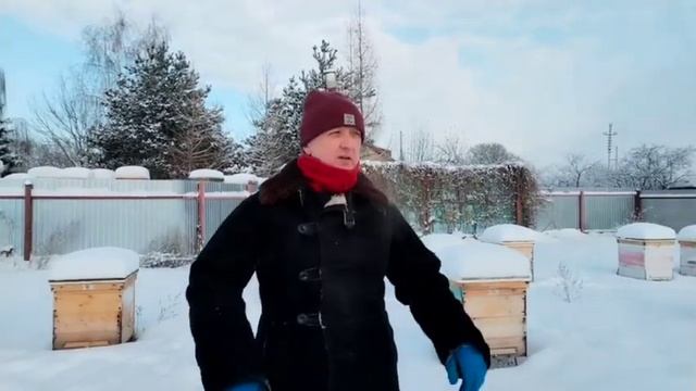Рождественская, январская инспекция состояния пчелиных семей при зимовке на воле. смотреть онлайн