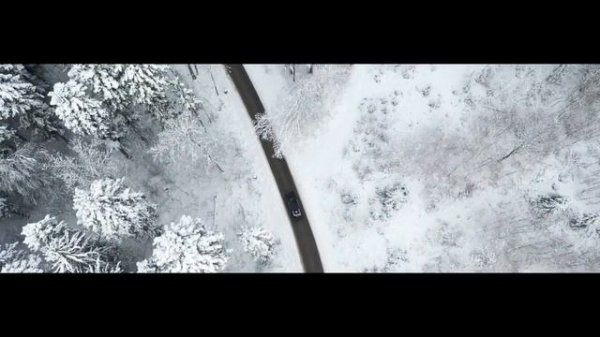 @ Сени Суем - Kogutsax 🎷